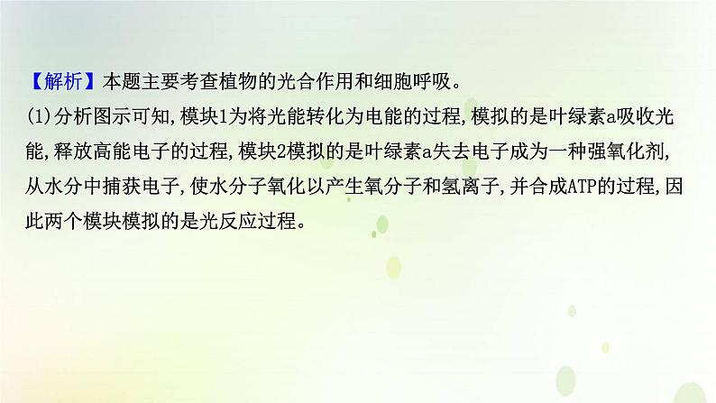 江苏专版2021届高考生物二轮复习必考大题强化课1细胞代谢课件第8页