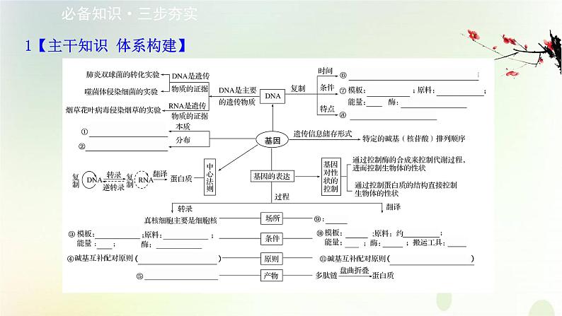 江苏专版2021届高考生物二轮复习专题5遗传的分子基课件第2页