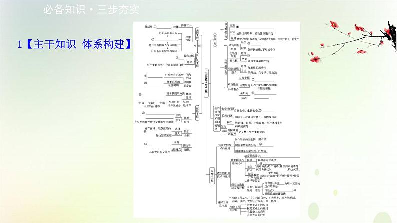 江苏专版2021届高考生物二轮复习专题13生物技术与工程课件第2页