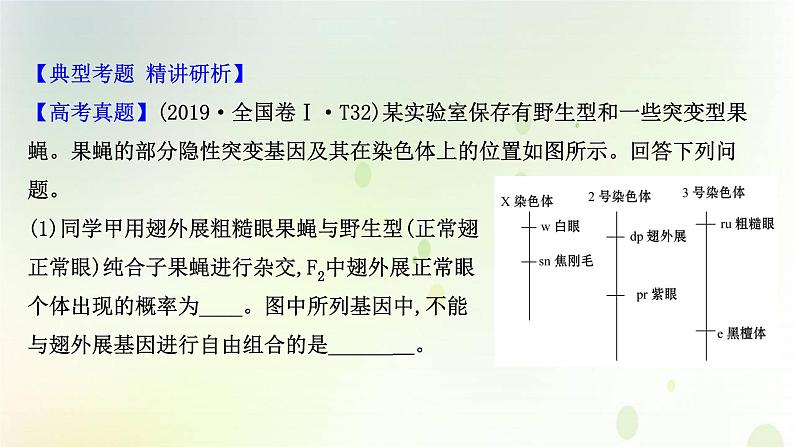 江苏专版2021届高考生物二轮复习必考大题强化课2遗传与变异课件第2页