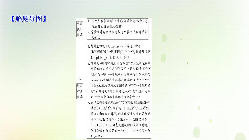 江苏专版2021届高考生物二轮复习必考大题强化课2遗传与变异课件第4页