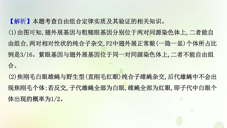 江苏专版2021届高考生物二轮复习必考大题强化课2遗传与变异课件第7页