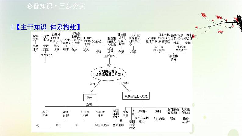 江苏专版2021届高考生物二轮复习专题7遗传的基本规律与人类遗传课件第2页