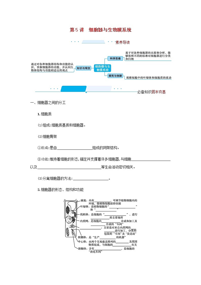 2022届高考生物一轮复习第2单元细胞的结构第5讲细胞器与生物膜系统学案新人教版第1页