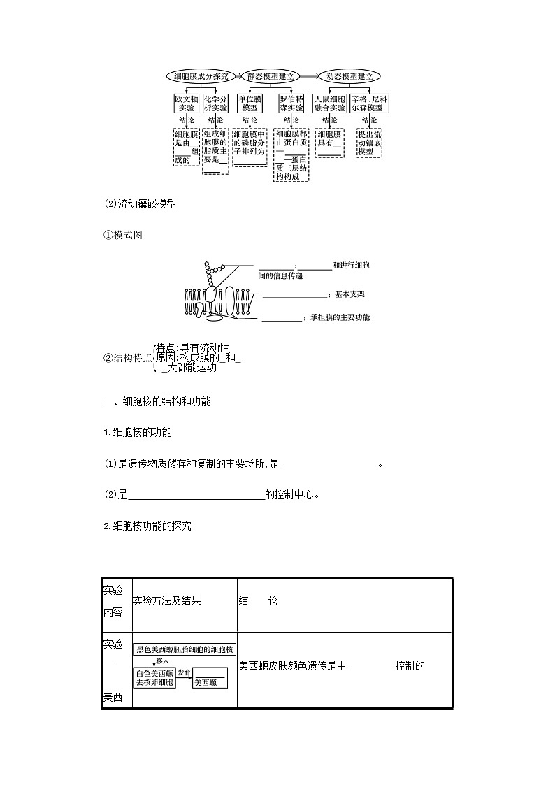 2022届高考生物一轮复习第2单元细胞的结构第4讲细胞膜和细胞核学案新人教版第2页