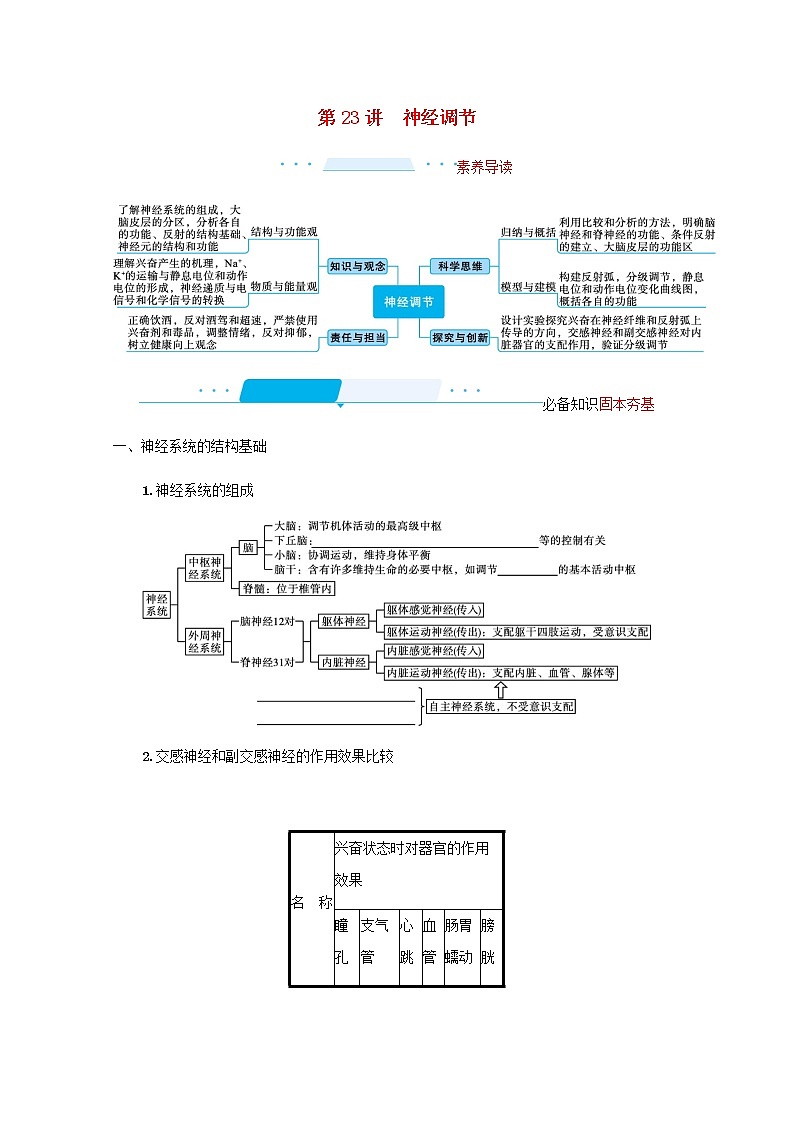 2022届高考生物一轮复习第8单元稳态与调节第23讲神经调节学案新人教版第1页