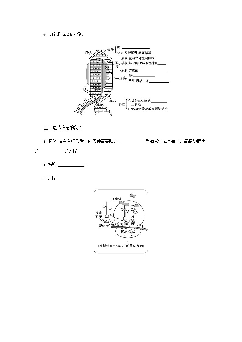 2022届高考生物一轮复习第5单元遗传的分子基础第15讲第1课时遗传信息的转录和翻译学案新人教版02