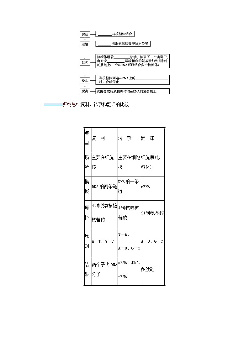 2022届高考生物一轮复习第5单元遗传的分子基础第15讲第1课时遗传信息的转录和翻译学案新人教版03