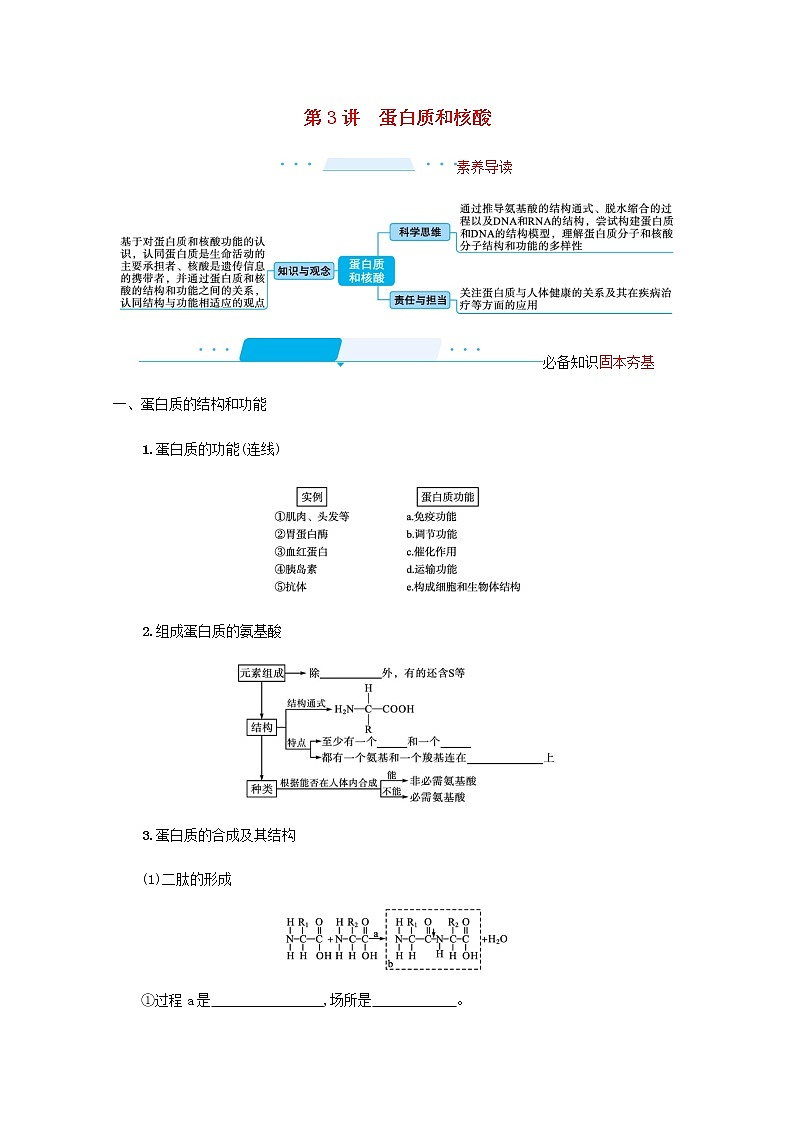 2022届高考生物一轮复习第1单元细胞的概述细胞的分子组成第3讲蛋白质和核酸学案新人教版第1页