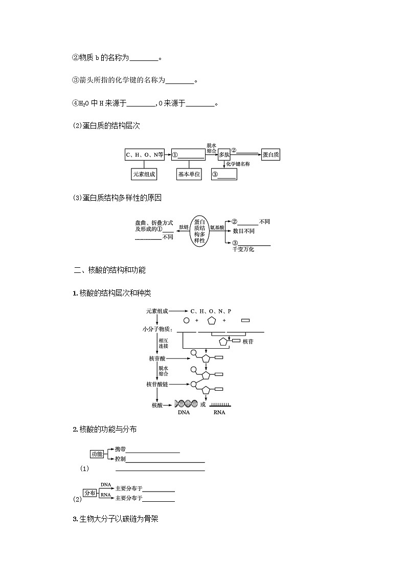 2022届高考生物一轮复习第1单元细胞的概述细胞的分子组成第3讲蛋白质和核酸学案新人教版第2页