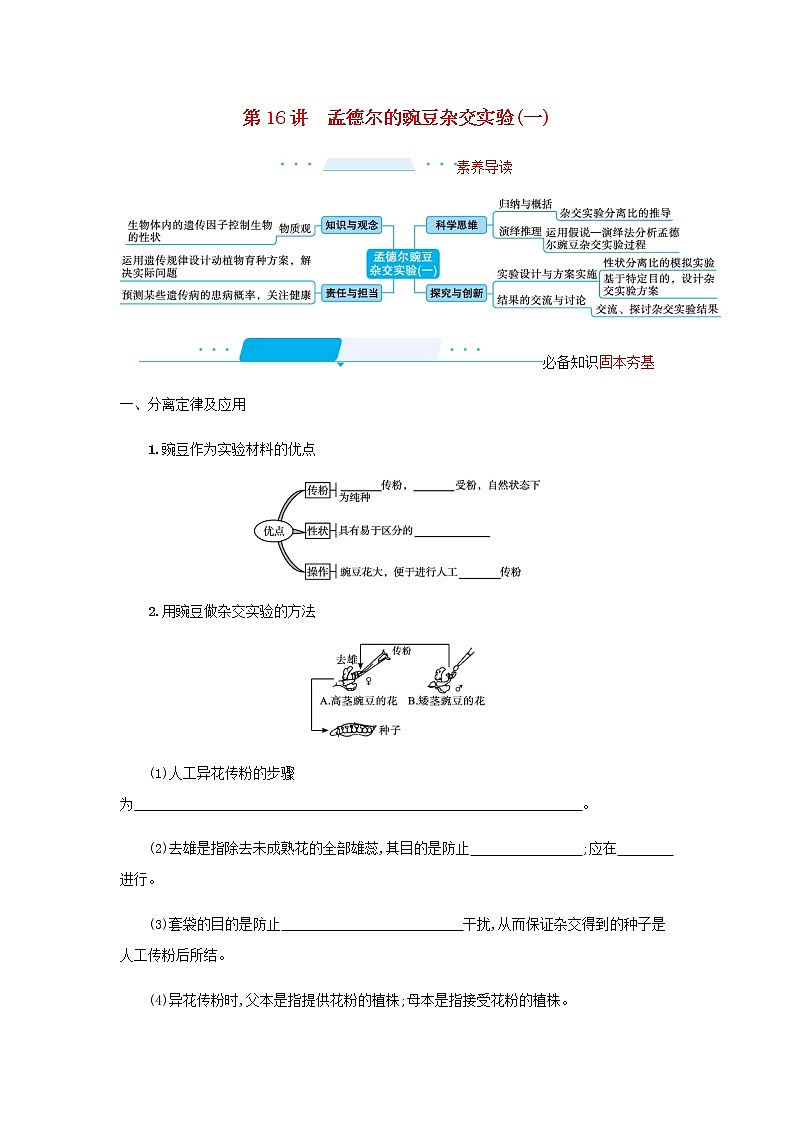 2022届高考生物一轮复习第6单元孟德尔遗传定律与伴性遗传第16讲孟德尔的豌豆杂交实验一学案新人教版第1页
