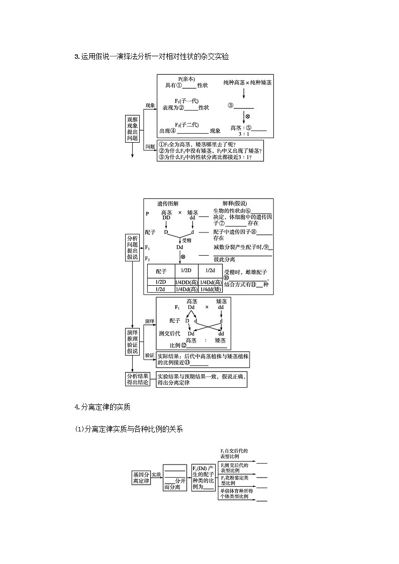 2022届高考生物一轮复习第6单元孟德尔遗传定律与伴性遗传第16讲孟德尔的豌豆杂交实验一学案新人教版第2页
