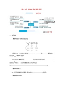 2022届高考生物一轮复习第7单元生物的变异和进化第20讲基因突变及其他变异学案新人教版