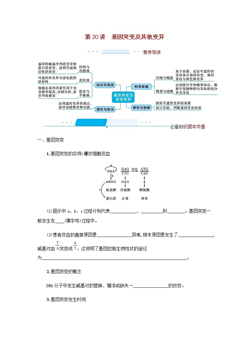 2022届高考生物一轮复习第7单元生物的变异和进化第20讲基因突变及其他变异学案新人教版第1页