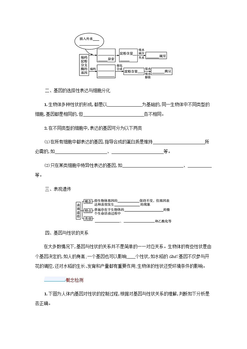 2022届高考生物一轮复习第5单元遗传的分子基础第15讲第2课时基因表达与性状的关系学案新人教版第2页