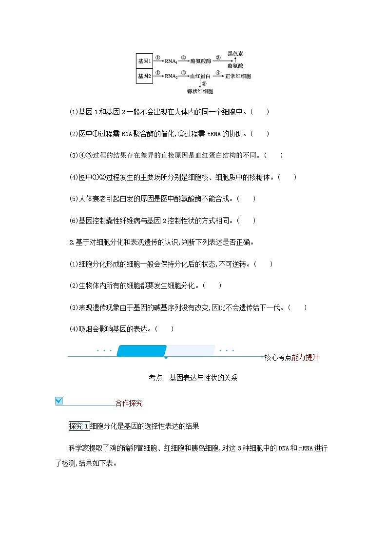 2022届高考生物一轮复习第5单元遗传的分子基础第15讲第2课时基因表达与性状的关系学案新人教版第3页