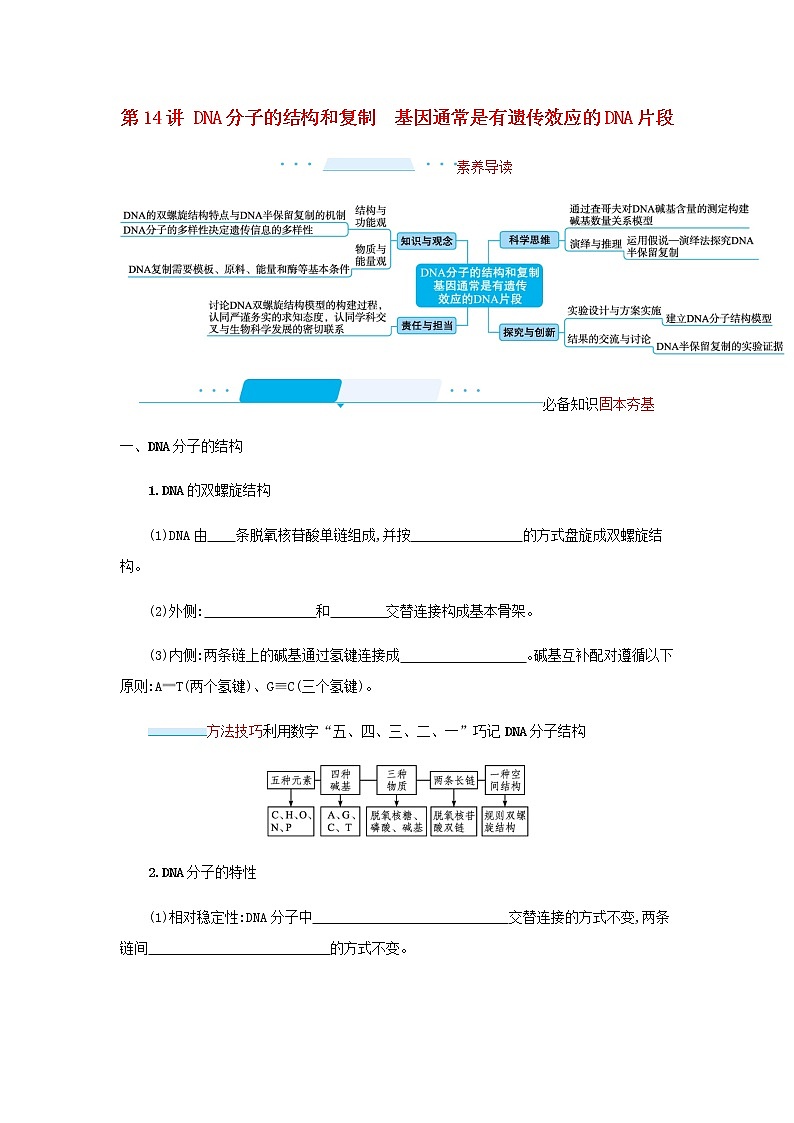 2022届高考生物一轮复习第5单元遗传的分子基础第14讲DNA分子的结构和复制基因通常是有遗传效应的DNA片段学案新人教版第1页