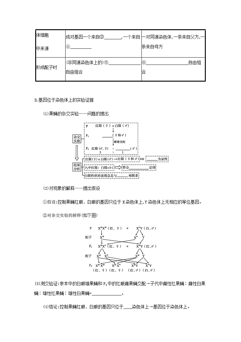 2022届高考生物一轮复习第6单元孟德尔遗传定律与伴性遗传第18讲基因在染色体上伴性遗传学案新人教版02