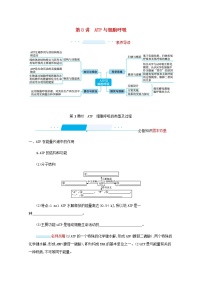 2022届高考生物一轮复习第3单元细胞的代谢第8讲第1课时ATP细胞呼吸的类型及过程学案新人教版