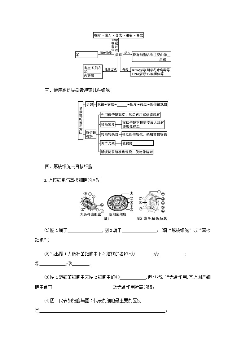 2022届高考生物一轮复习第1单元细胞的概述细胞的分子组成第1讲走近细胞学案新人教版03