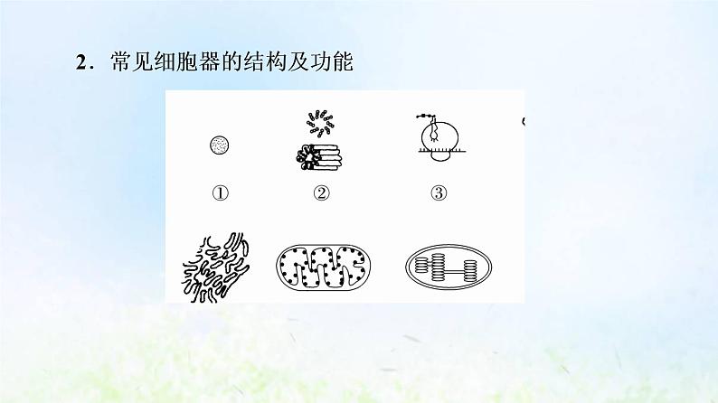 2022版新教材高考生物一轮复习第2单元细胞的基本结构与物质运输第5课细胞器之间的分工合作课件新人教版第6页