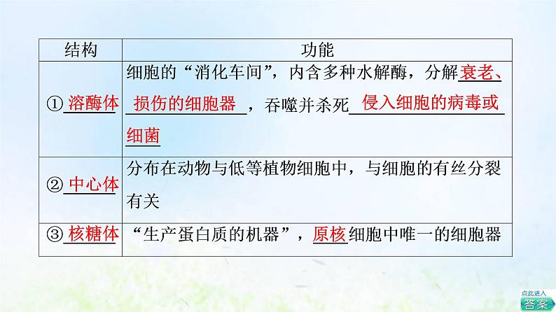 2022版新教材高考生物一轮复习第2单元细胞的基本结构与物质运输第5课细胞器之间的分工合作课件新人教版第7页