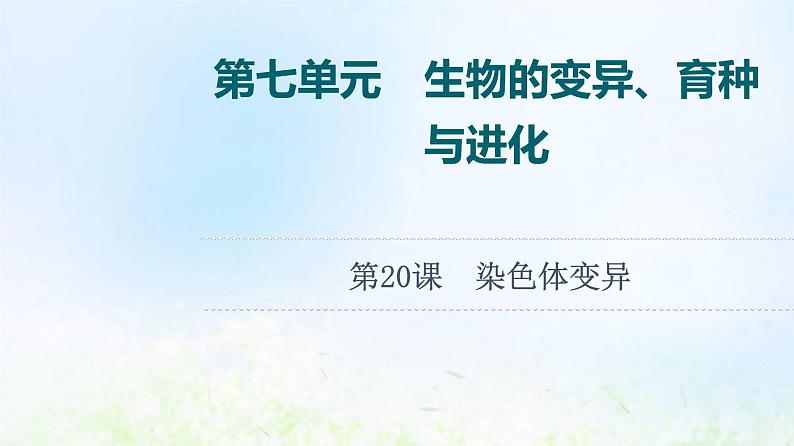 2022版新教材高考生物一轮复习第7单元生物的变异育种与进化第20课染色体变异课件新人教版01