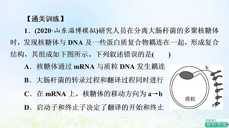 2022版新教材高考生物一轮复习第7单元生物的变异育种与进化大概念升华课必修概念3课件新人教版第4页