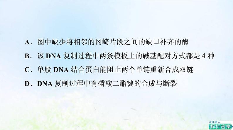 2022版新教材高考生物一轮复习第7单元生物的变异育种与进化大概念升华课必修概念3课件新人教版第7页