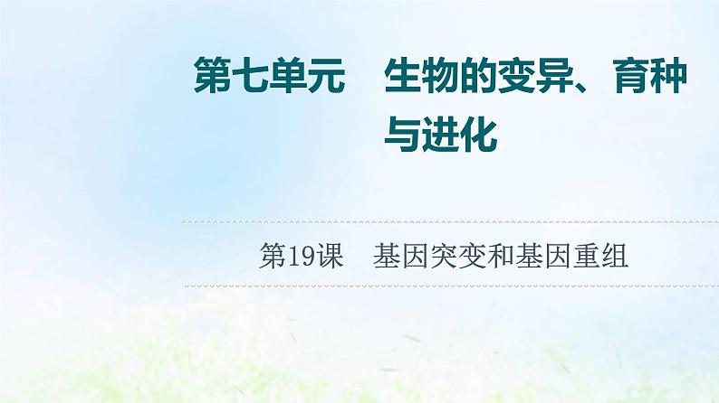 2022版新教材高考生物一轮复习第7单元生物的变异育种与进化第19课基因突变和基因重组课件新人教版01