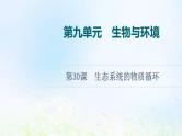 2022版新教材高考生物一轮复习第9单元生物与环境第30课生态系统的物质循环课件新人教版