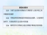 2022版新教材高考生物一轮复习第9单元生物与环境第30课生态系统的物质循环课件新人教版