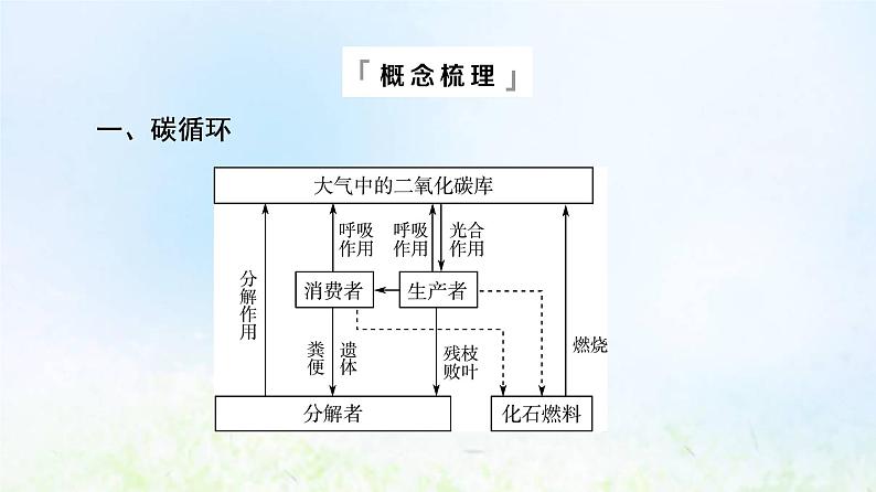 2022版新教材高考生物一轮复习第9单元生物与环境第30课生态系统的物质循环课件新人教版第5页