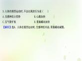 新教材高中生物第2章神经调节第1节神经调节的结构基次时检测课件新人教版选择性必修第一册