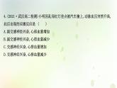 新教材高中生物第2章神经调节第1节神经调节的结构基次时检测课件新人教版选择性必修第一册