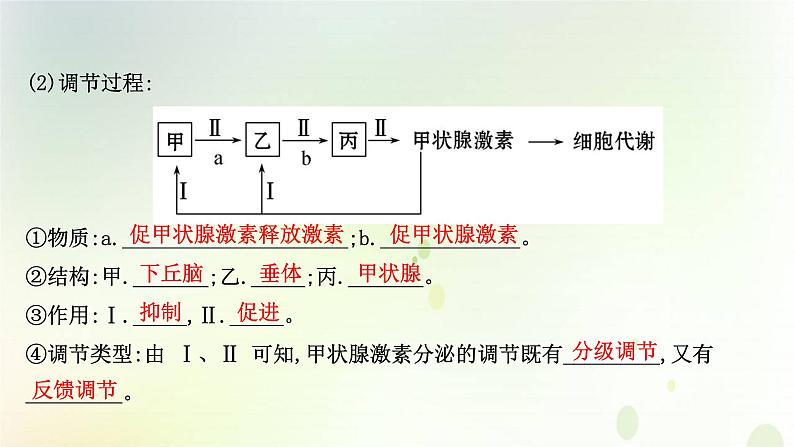 新教材高中生物第3章体液调节第2节激素调节的过程课件新人教版选择性必修第一册第7页