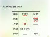 新教材高中生物第3章体液调节第3节体液调节与神经调节的关系课件新人教版选择性必修第一册