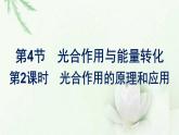 新教材高中生物第5章细胞的能量供应和利用第4节第2课时光合作用的原理和应用课件新人教版必修1