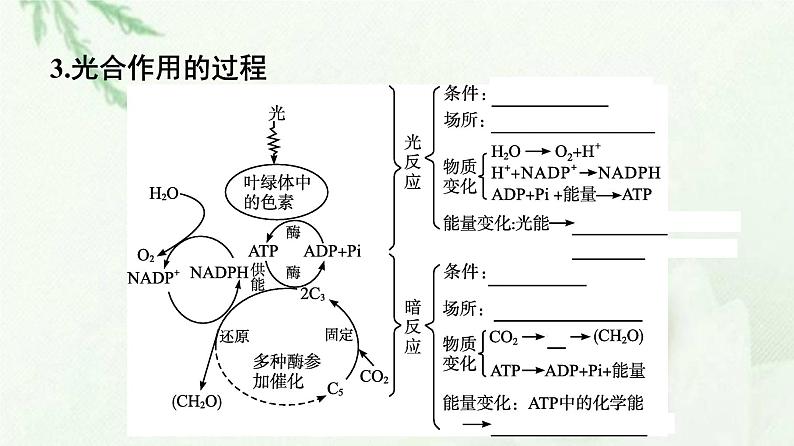 新教材高中生物第5章细胞的能量供应和利用第4节第2课时光合作用的原理和应用课件新人教版必修104