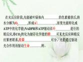 新教材高中生物第5章细胞的能量供应和利用第4节第2课时光合作用的原理和应用课件新人教版必修1