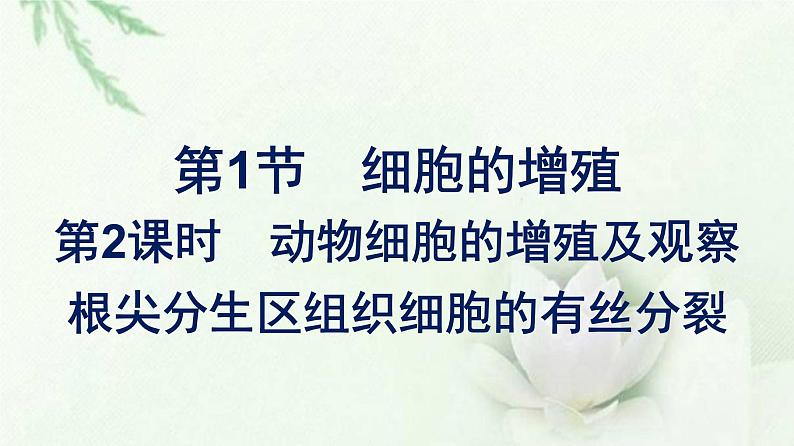 细胞的增殖PPT课件免费下载01