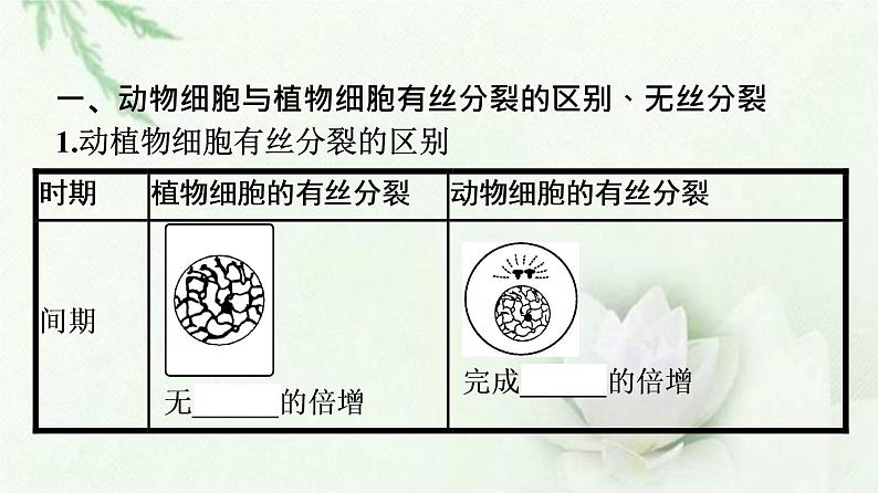 细胞的增殖PPT课件免费下载03