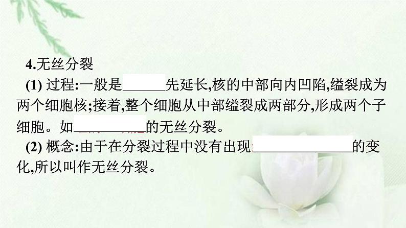 细胞的增殖PPT课件免费下载07