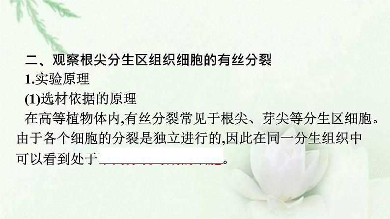 细胞的增殖PPT课件免费下载08