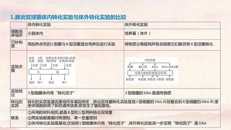 艺体生专用2021届高考生物二轮复习专题六遗传的分子基因课件第4页