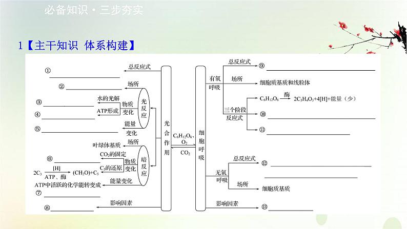 江苏专版2021届高考生物二轮复习专题3细胞呼吸与光合作用课件第2页