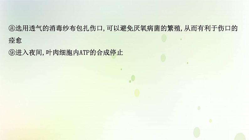 江苏专版2021届高考生物二轮复习专题3细胞呼吸与光合作用课件第4页