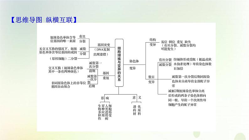 江苏专版2021届高考生物二轮复习核心素养串讲课2科学思维之细胞增殖与变异的关系课件02