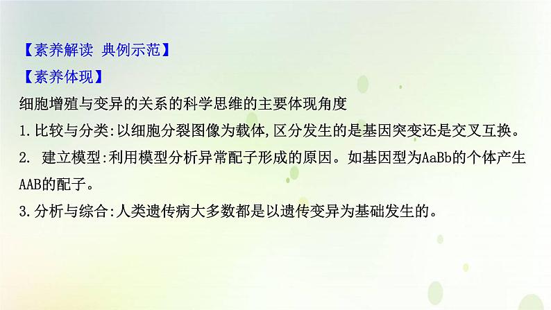 江苏专版2021届高考生物二轮复习核心素养串讲课2科学思维之细胞增殖与变异的关系课件03