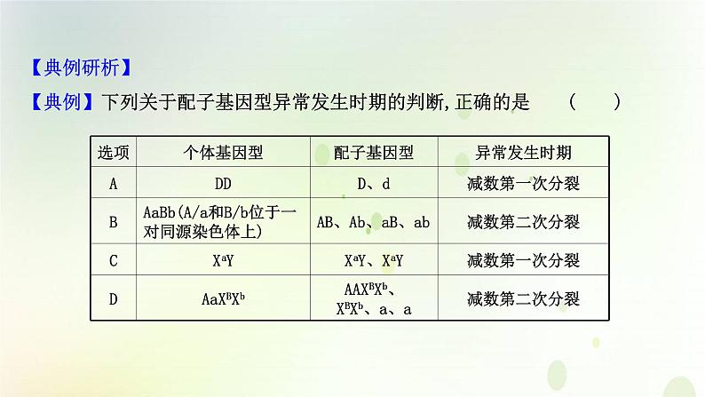 江苏专版2021届高考生物二轮复习核心素养串讲课2科学思维之细胞增殖与变异的关系课件04